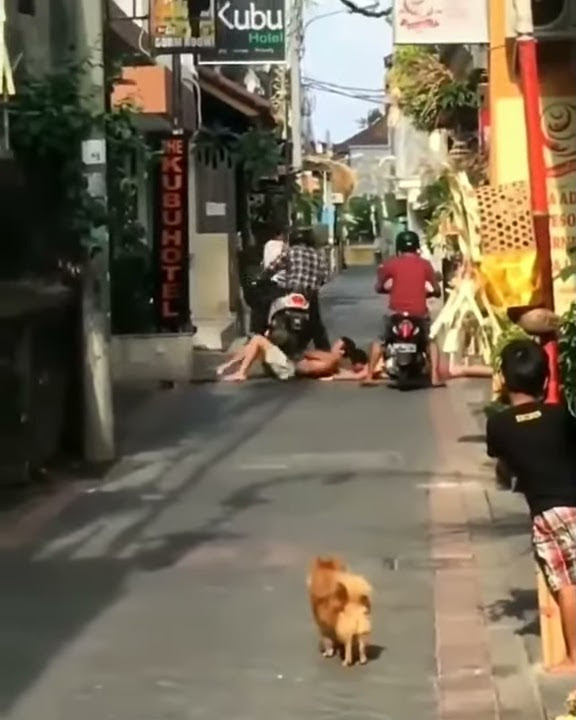 Orang sok jagoan yang lewat lebih nekat