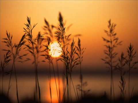 想啥人怨啥人等啥人.wmv