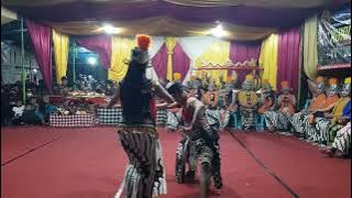 Kembang Jeruk Semarangan Versi Galak!!! Live PSWG Memang Berani Tampil Beda