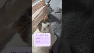 Oohna!!!! #cat #roblox #vocaloid #memes #kindness