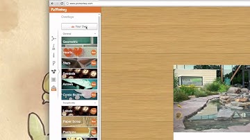 picmonkey collages  (how to)~