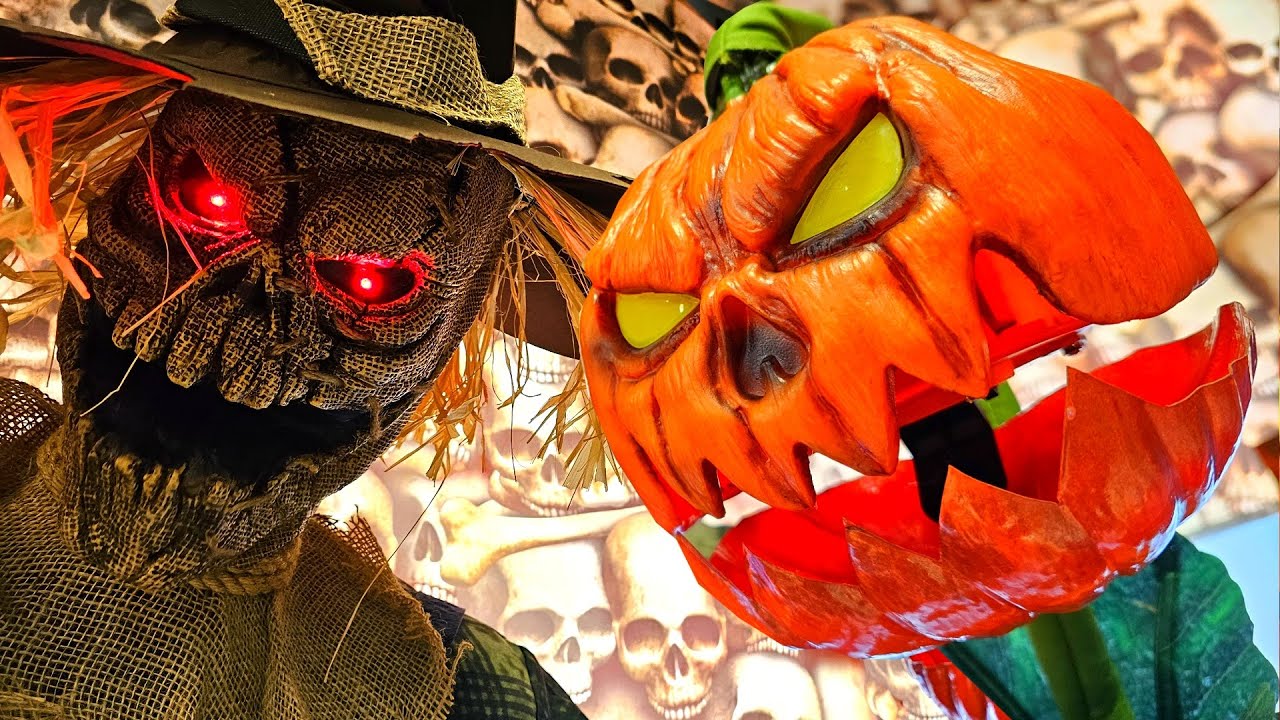 AMAZING STOCKED HALLOWEEN 2023 at THE PARTY PLACE CANTON OHIO !!