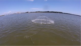 Cast Nets - A Few Things To Consider When Buying Your First Cast Net - The View From The Beach Profile
