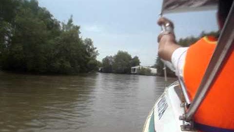 rừng đước Năm Căn.MPG