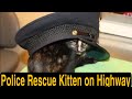 Police Rescue Kitten On Highway