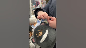 THE SQUISHMALLOW HUNTING OLYMPICS??? #squishmallows #5below #squishtok #squishmallowhunting