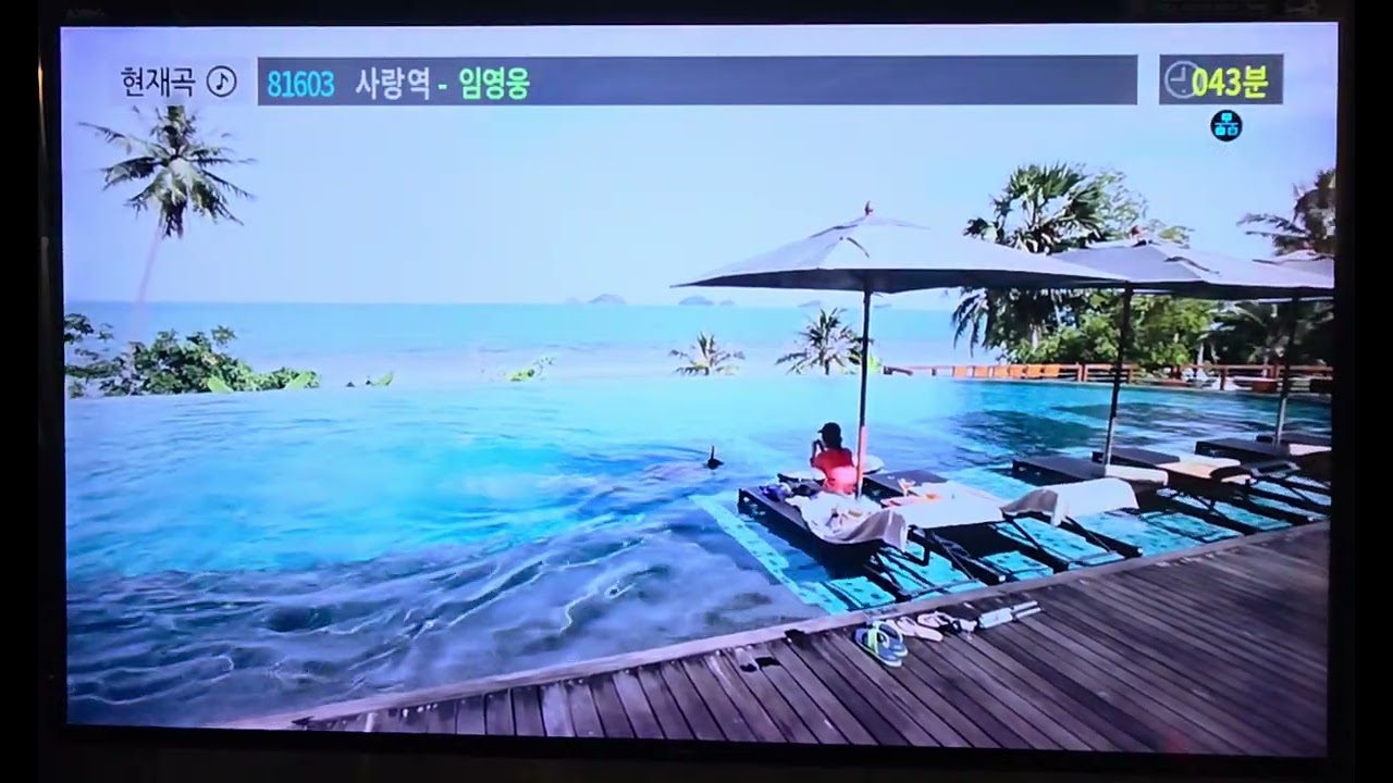 사랑역- 임영웅 / 노래는 즐거워 커버.53 / # 코인노래방 