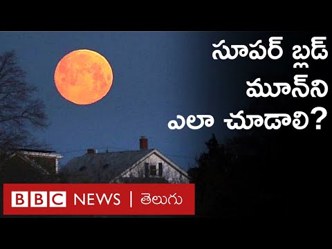 Super Flower Blood Moon: భారత్‌లో కనిపిస్తుందా? ఈ గ్రహణాన్ని చూడటం ఎలా? | BBC Telugu