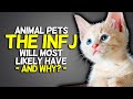 10 animal pets the infj will most likely have and why