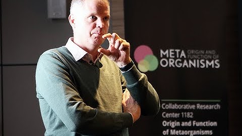 Fredrik Bäckhed, University of Gothenburg, The Role of Normal Gut Microbiota in Metabolic Diseases