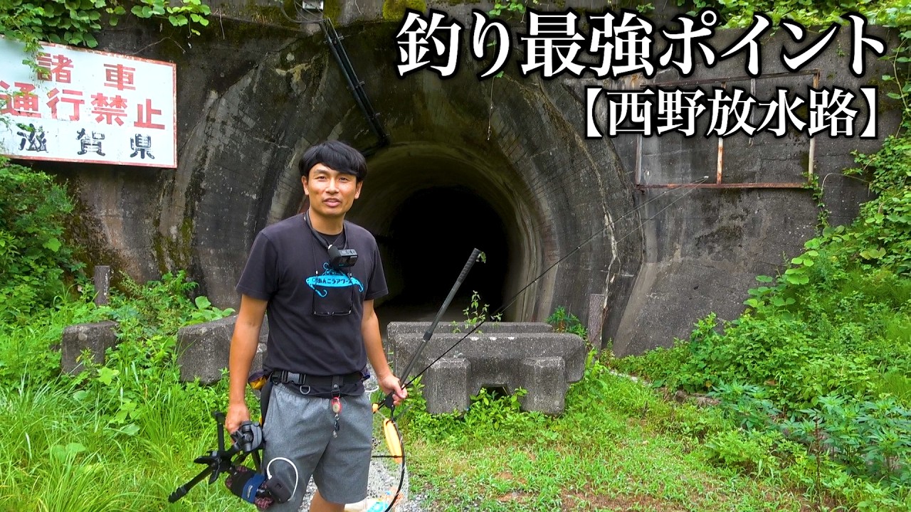 トンネルを抜けると釣り天国!誰でも簡単あの魚を釣りまくる。
