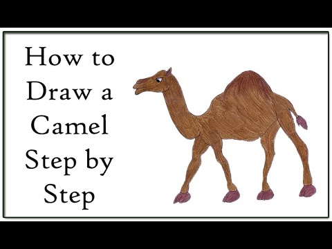 How to Draw a Camel Step by Step - YouTube