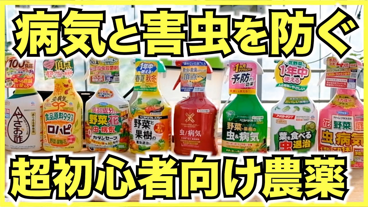 病気と害虫 家庭菜園超初心者向けの病気と害虫の予防 対策 農薬の選び方 粒剤 ミニボトル スプレー 粉末 Youtube