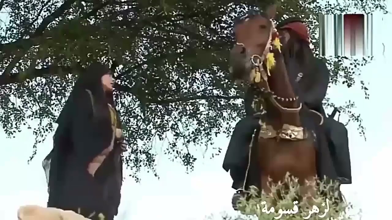 عمر صقر الرجباني قصيدة يذكر فيها اجمل الصور  البدوية  من شجاعة وكرم ووفاء وصبر