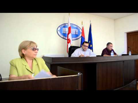 მე-3 საკითხი