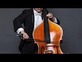 Li xu double bass mozart bassoon concerto