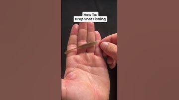 Drop Shot for Perch - One Knot and you are ready to fish #perchgokit #fishing #howto #dropshot #jaeg
