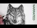 How to Draw a Realistic Wolf: Narrated