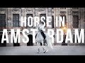 HORSE IN AMSTERDAM ✨