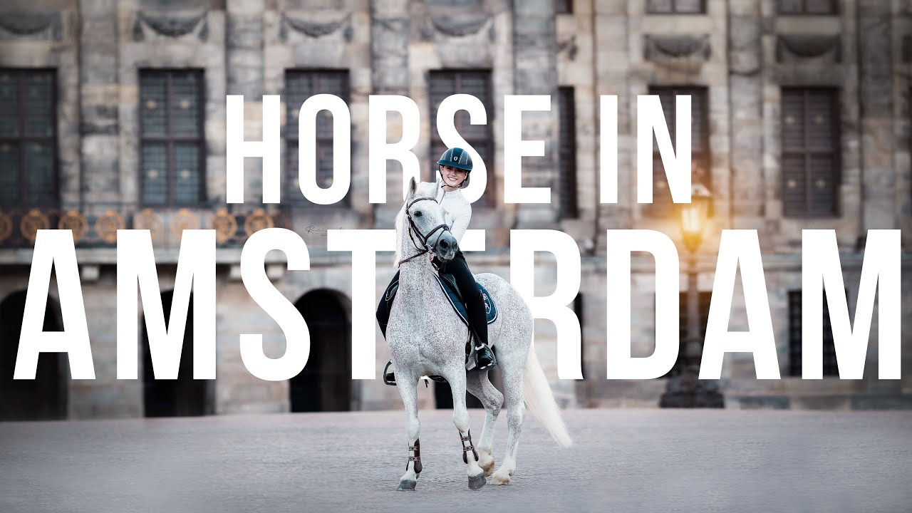 HORSE IN AMSTERDAM YouTube