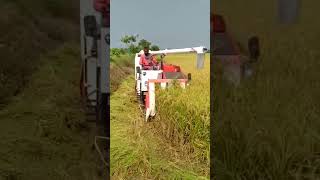 Daedong DSC 62G Half feed combine Harvester paddy cutting machine,🌾Dhan🌾 cutting