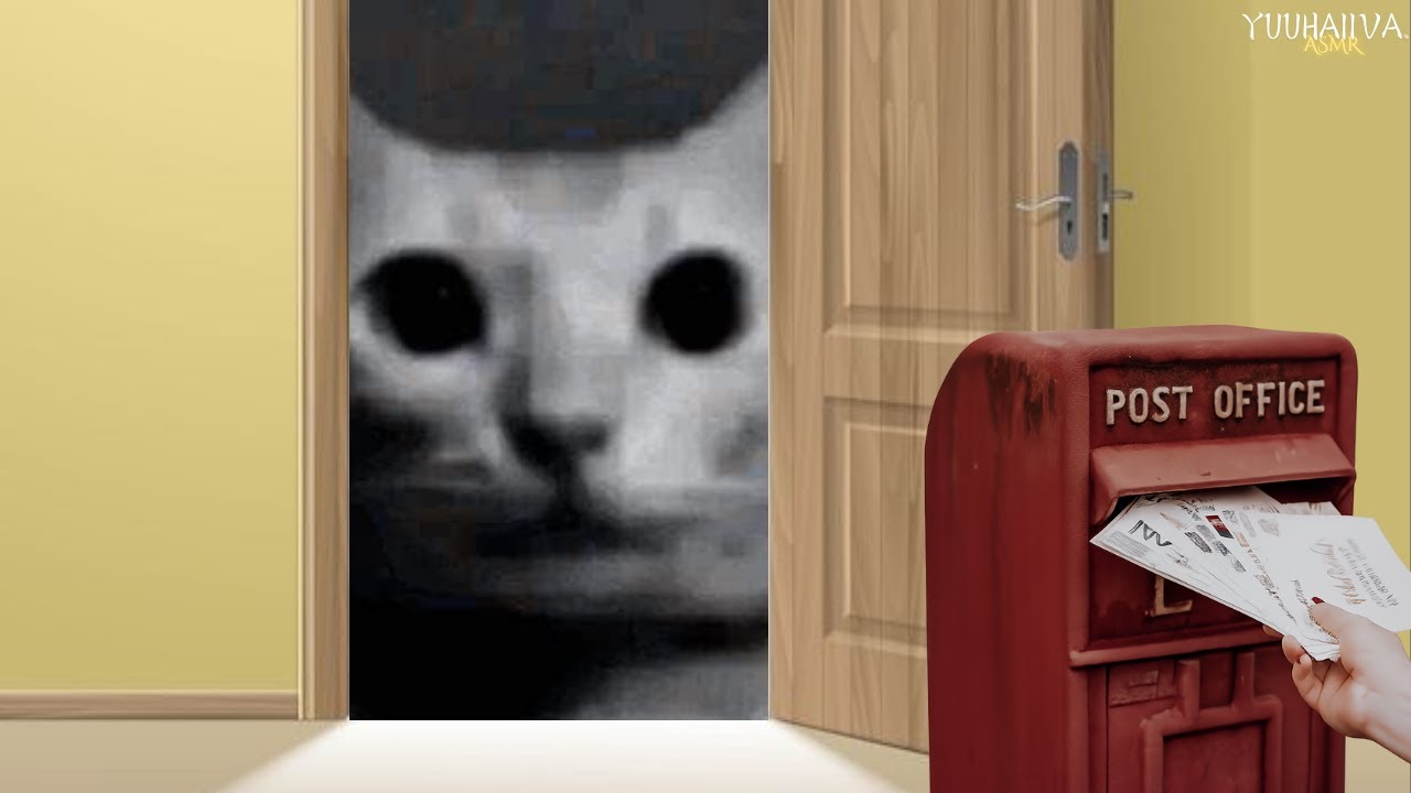 У моей кошки возник конфликт с почтальоном...