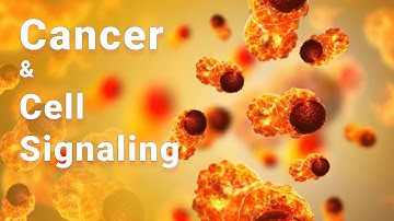 Cancer Pathways | Cell Signal Transduction and Cancer