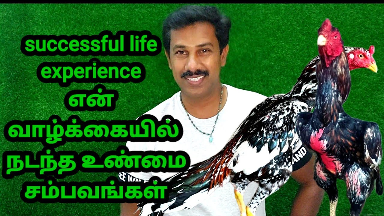 🫡🤩Great experience wi🚀rocket😎 Javaaseel🌈life really storyஎன் வாழ்க்கையின் சேவல் கோழிகளின் அனுபவம்