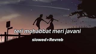 Download Lagu Teri_Mohabbat_Meri_Jawani_(slowed+revreb)_Salma_Agha_Mohammad_Aziz_song_lofi MP3