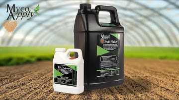 MycoApply EndoThrive