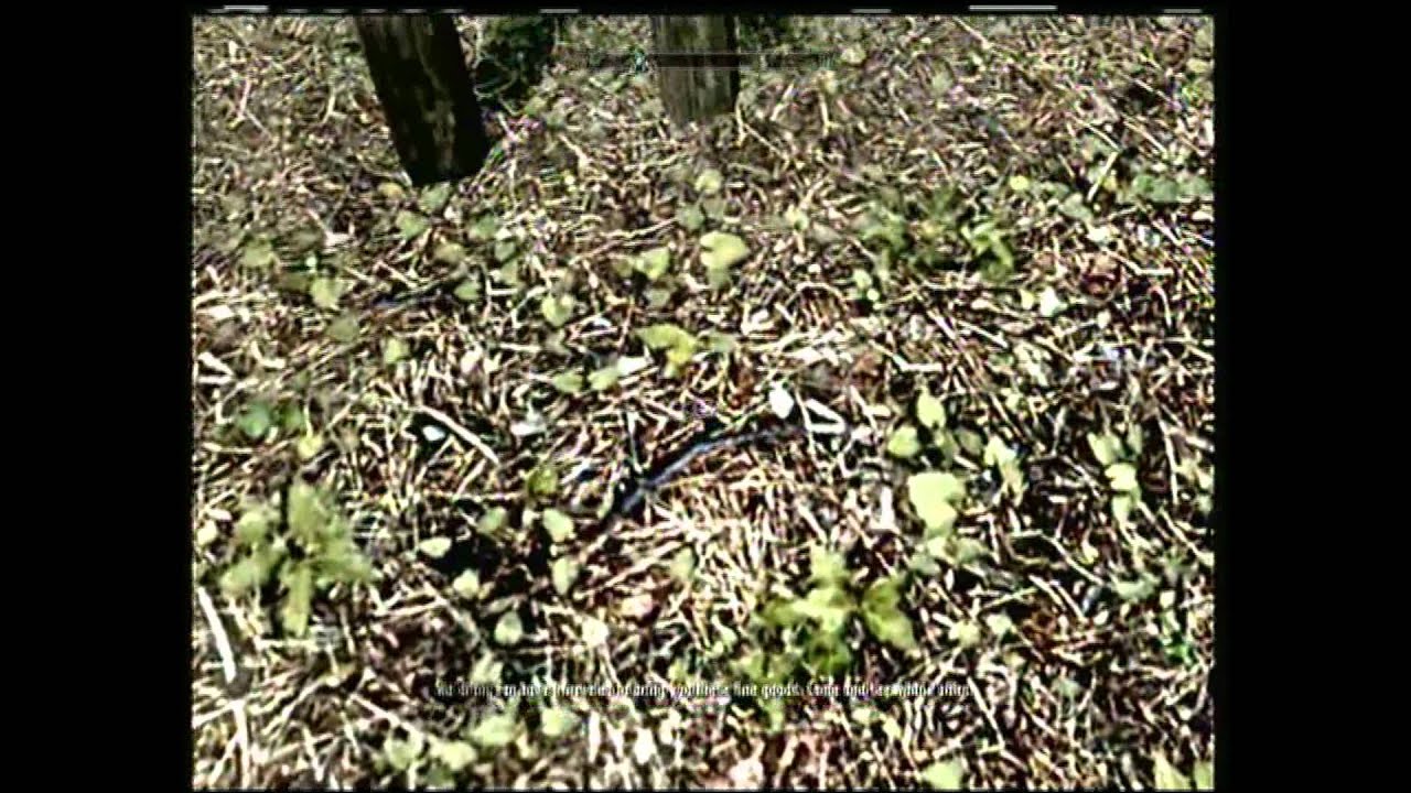 Skyrim Hidden Merchant chests (best) YouTube