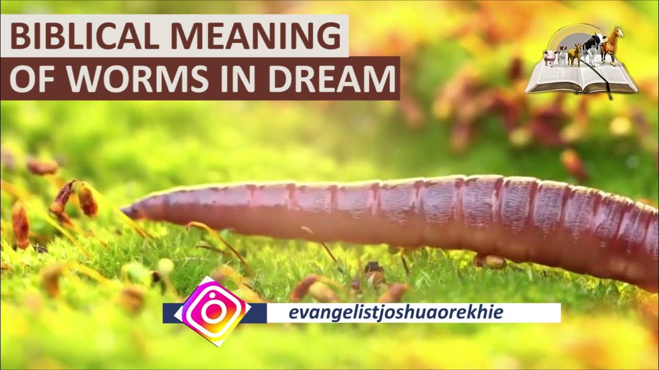 Biblical Meaning of WORMS in Dream Find Out The Dream About Worms