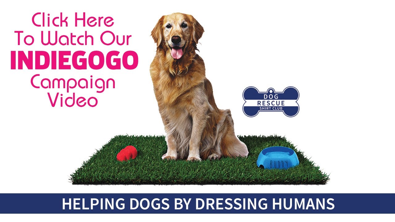 Dog Rescue Shirt Club Fundraiser Campaign YouTube