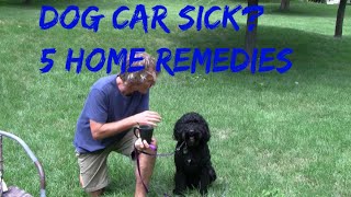 Car Sickness in Dogs: 5 Home Remedies