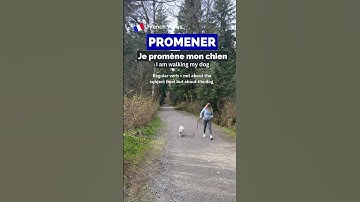 Reflexive Verbs Explained at the Park 🇫🇷 ft Beefy 🐕