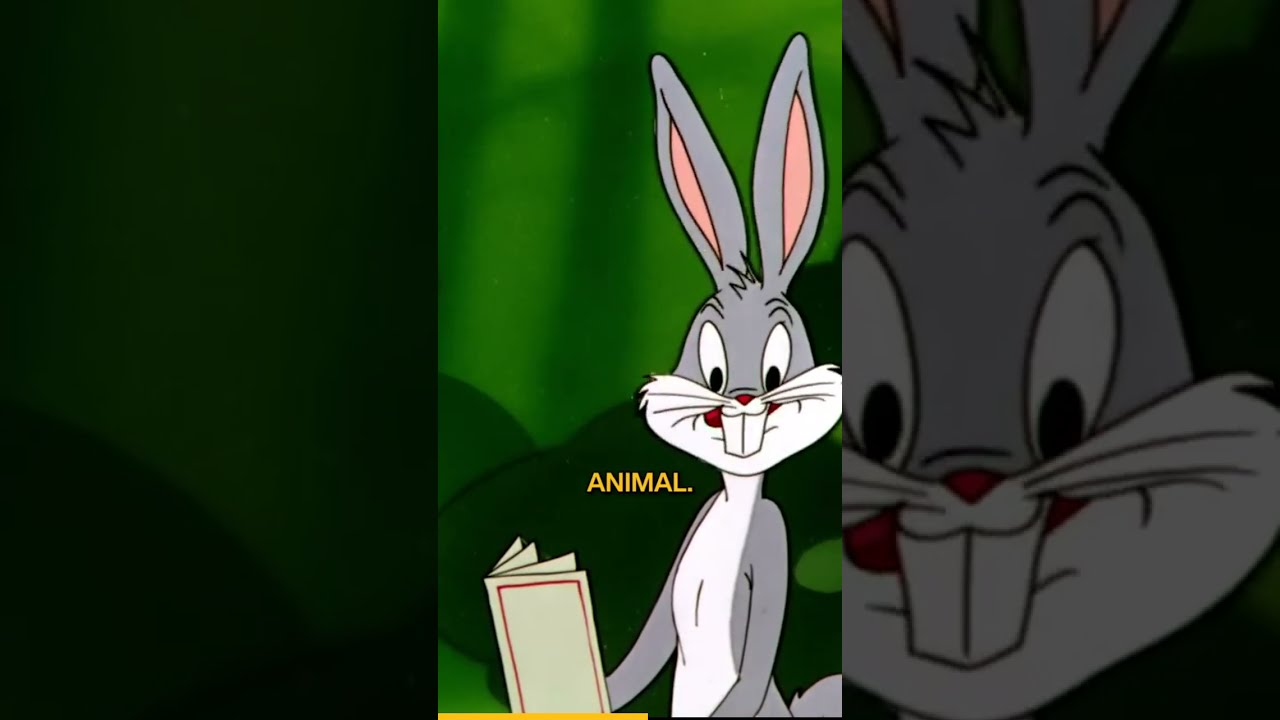 Conquering The Chaos Bugs Bunny Vs Terrifying Tasmanian Devil 