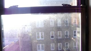 Large 1 Bedroom locate on Holland Avenue