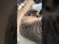 ねむい