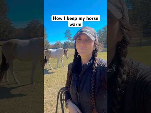 Maybe It S Overkill Horse Equestrian Horsegirl Cowgirl Horses Winter Pets Animals Cold Pet