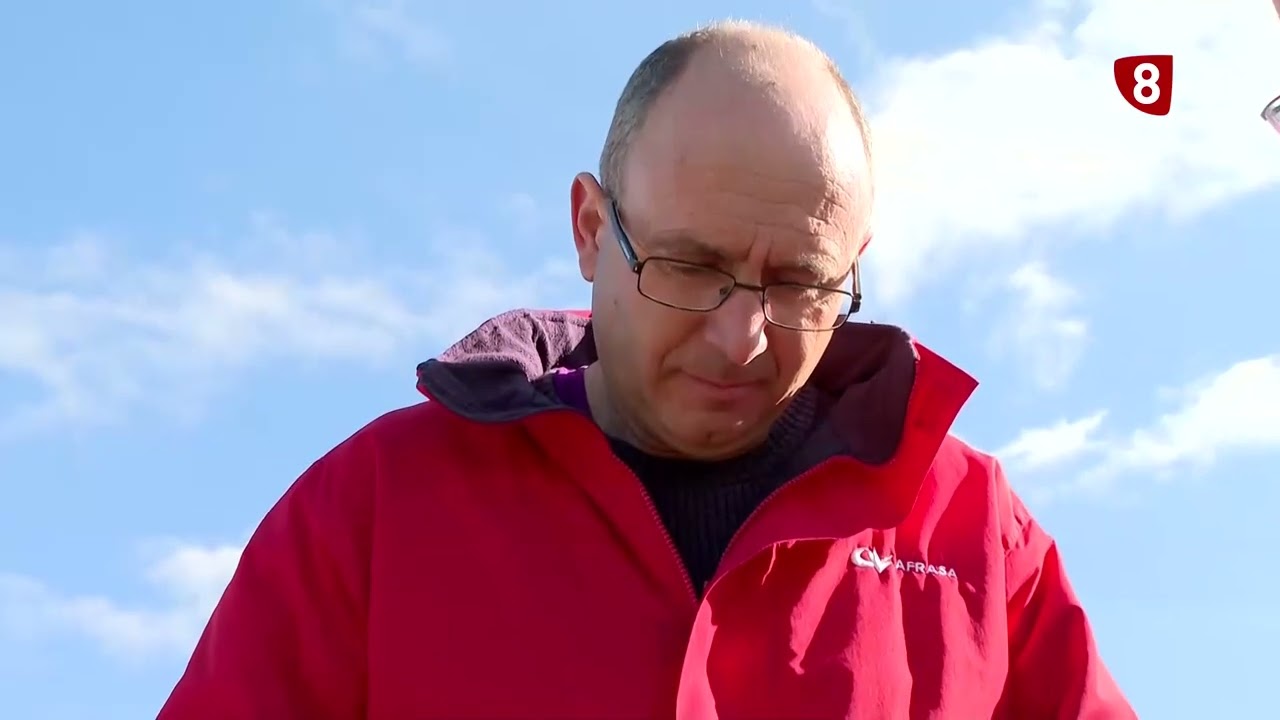 Siembra directa y rotación con guisantes - Campo Salmantino, 3 de marzo de 2025