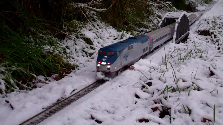 G Scale Trains (Amtrak #174 P42DC & 4x Amfleet in the snow)