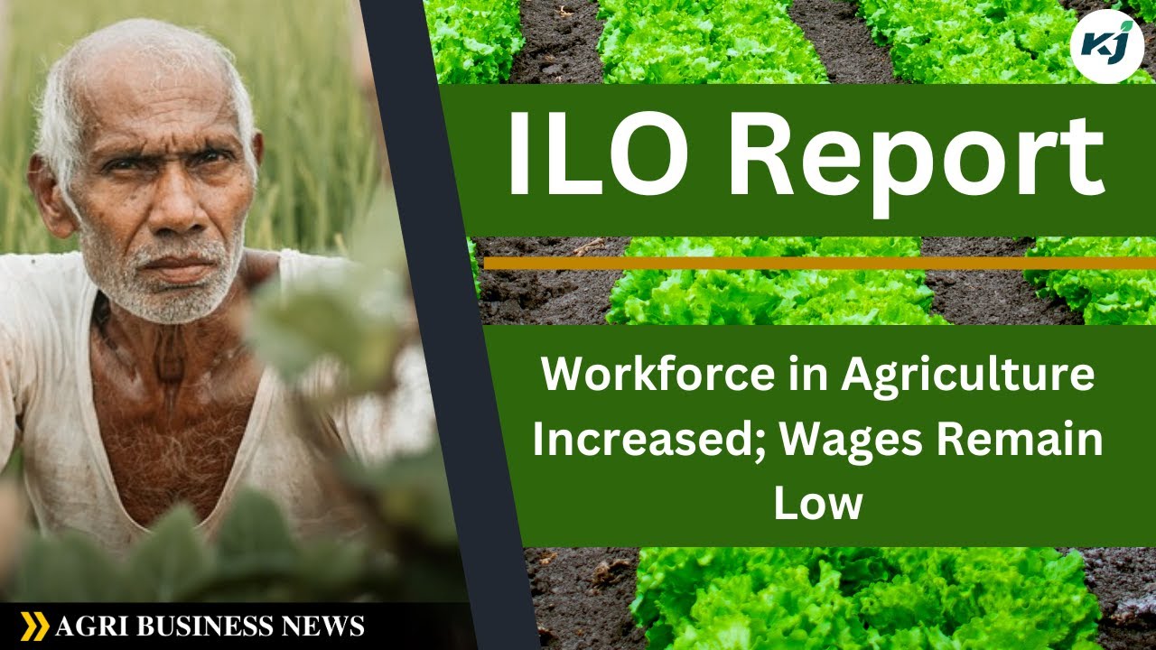 ILO Report: Rise in Agricultural Employment, Wages Still Low - YouTube
