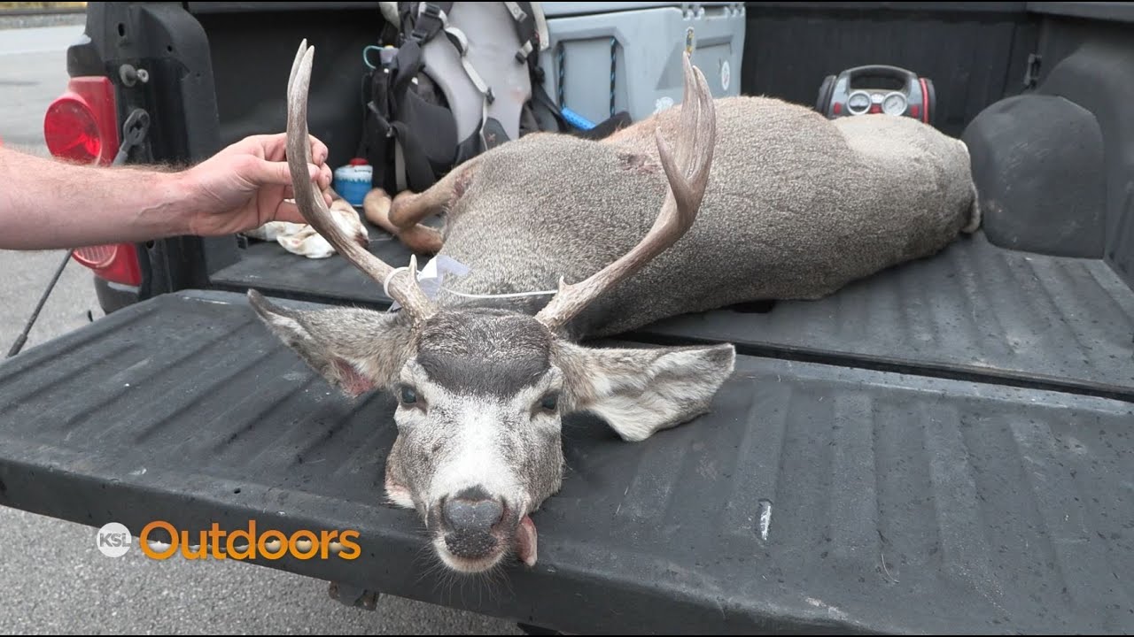 Wrap Up of Utah's 2022 General Season Deer Hunt