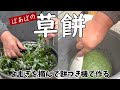 よもぎで草餅 ずっと変わらないばあばのよもぎ餅
