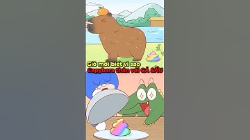 Giờ mới biết vì sao Capybara thân với CÁ SẤU