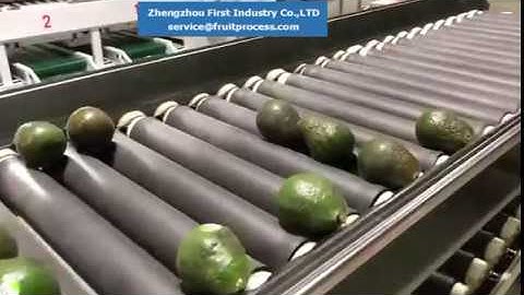 Avocado grading machine, avocado automatic weight sorting machine, Avocado processing machines