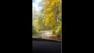Fall color in Kickapoo Valley