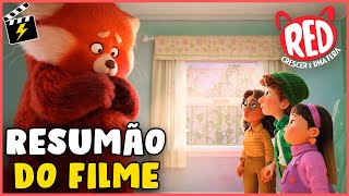 RESUMÃO de RED: CRESCER É UMA FERA | PIXAR