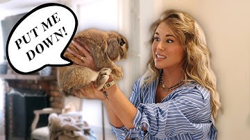 How to Hold a Rabbit (That Doesn