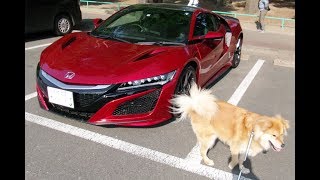 ムックとホンダ NSX＆ポルシェ 911